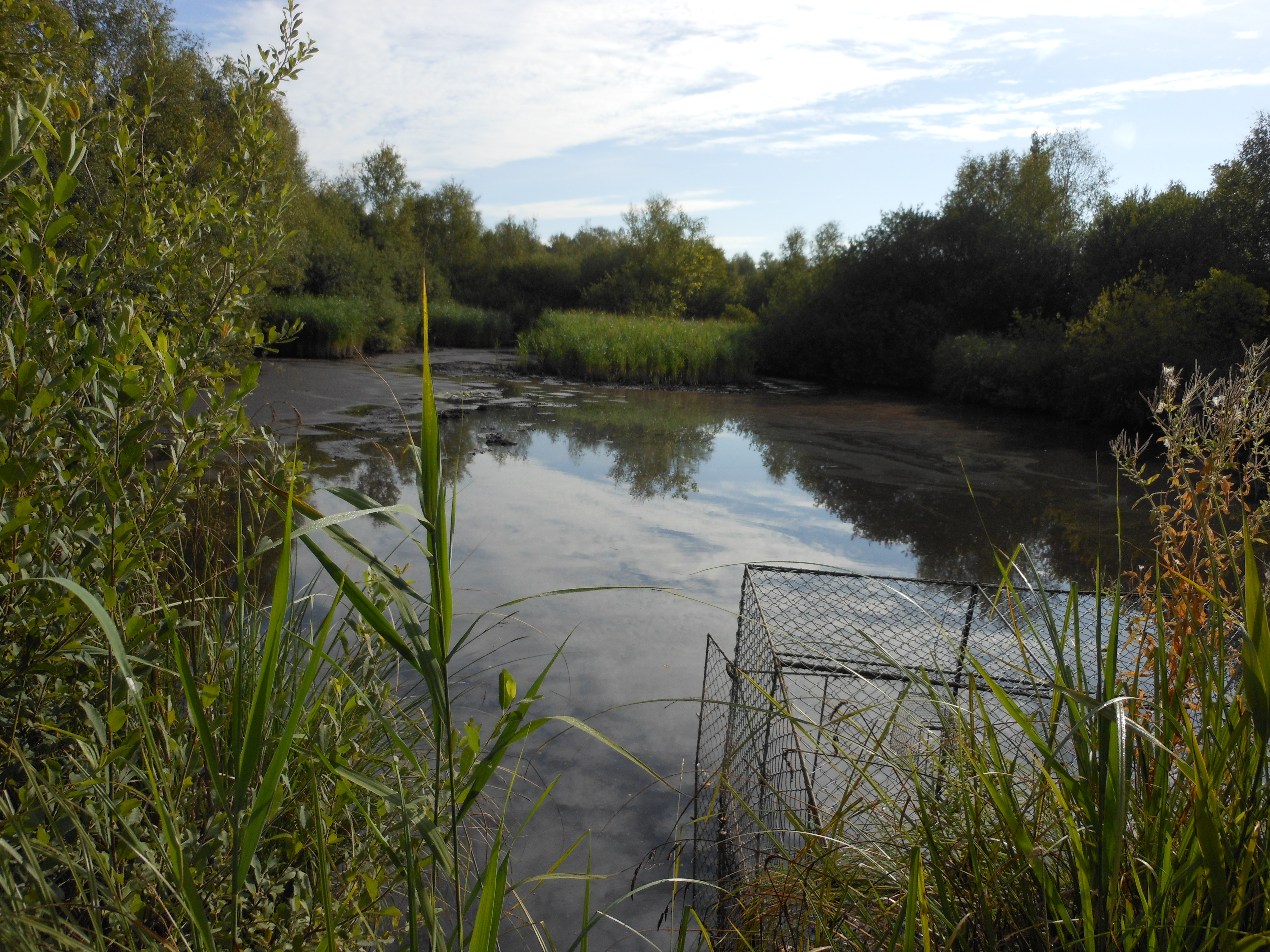 Vente EN EXCLUSIVITE à MISSY LES PIERREPONT ETANG SUR 10 000m² de terrain.